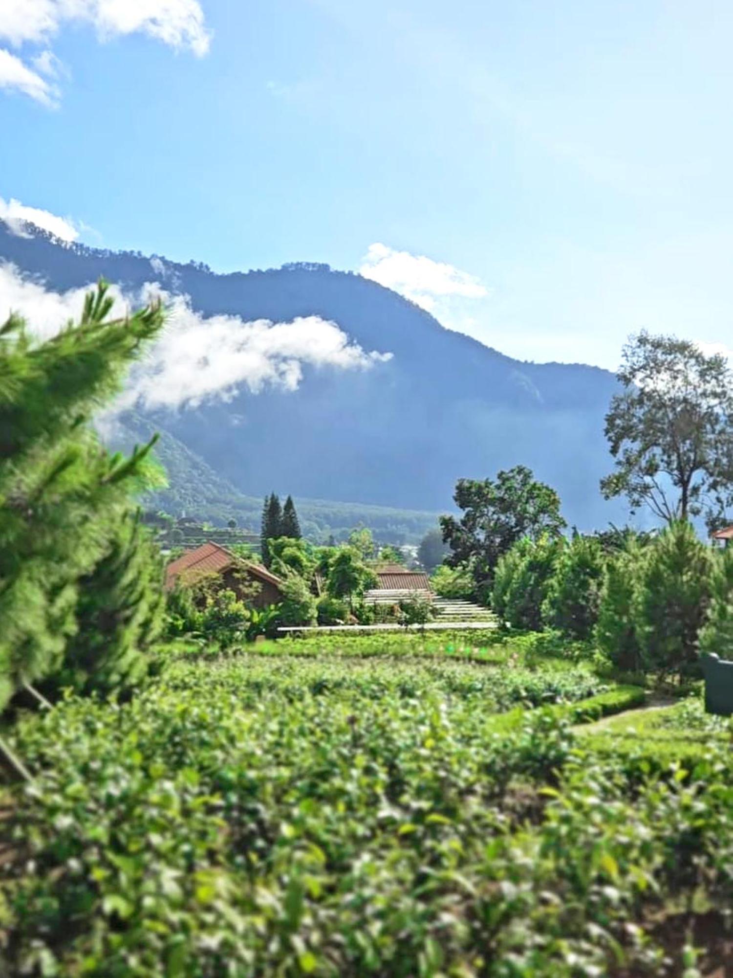 Dusun Bedugul Asri Hotel Buitenkant foto