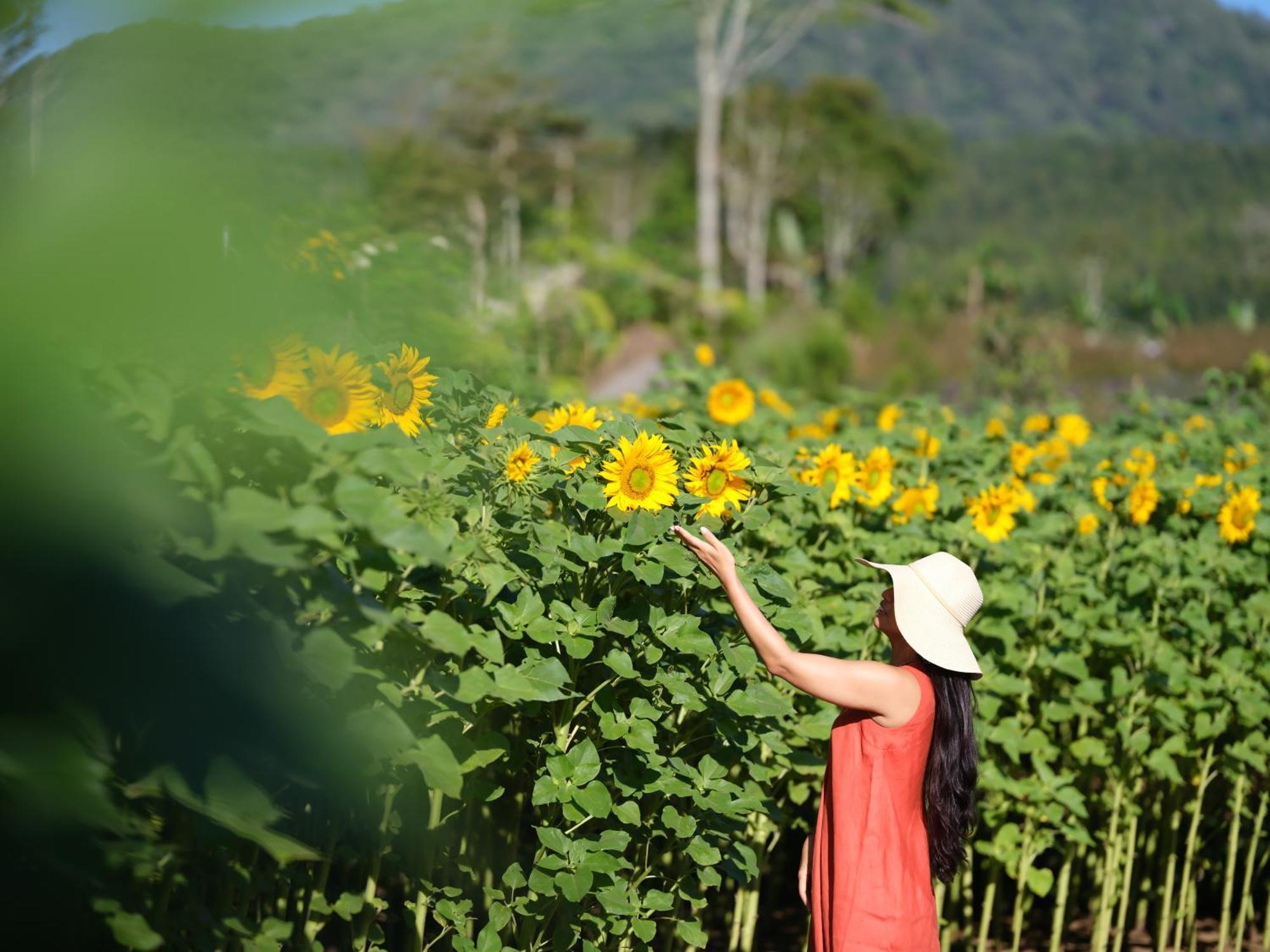 Dusun Bedugul Asri Hotel Buitenkant foto