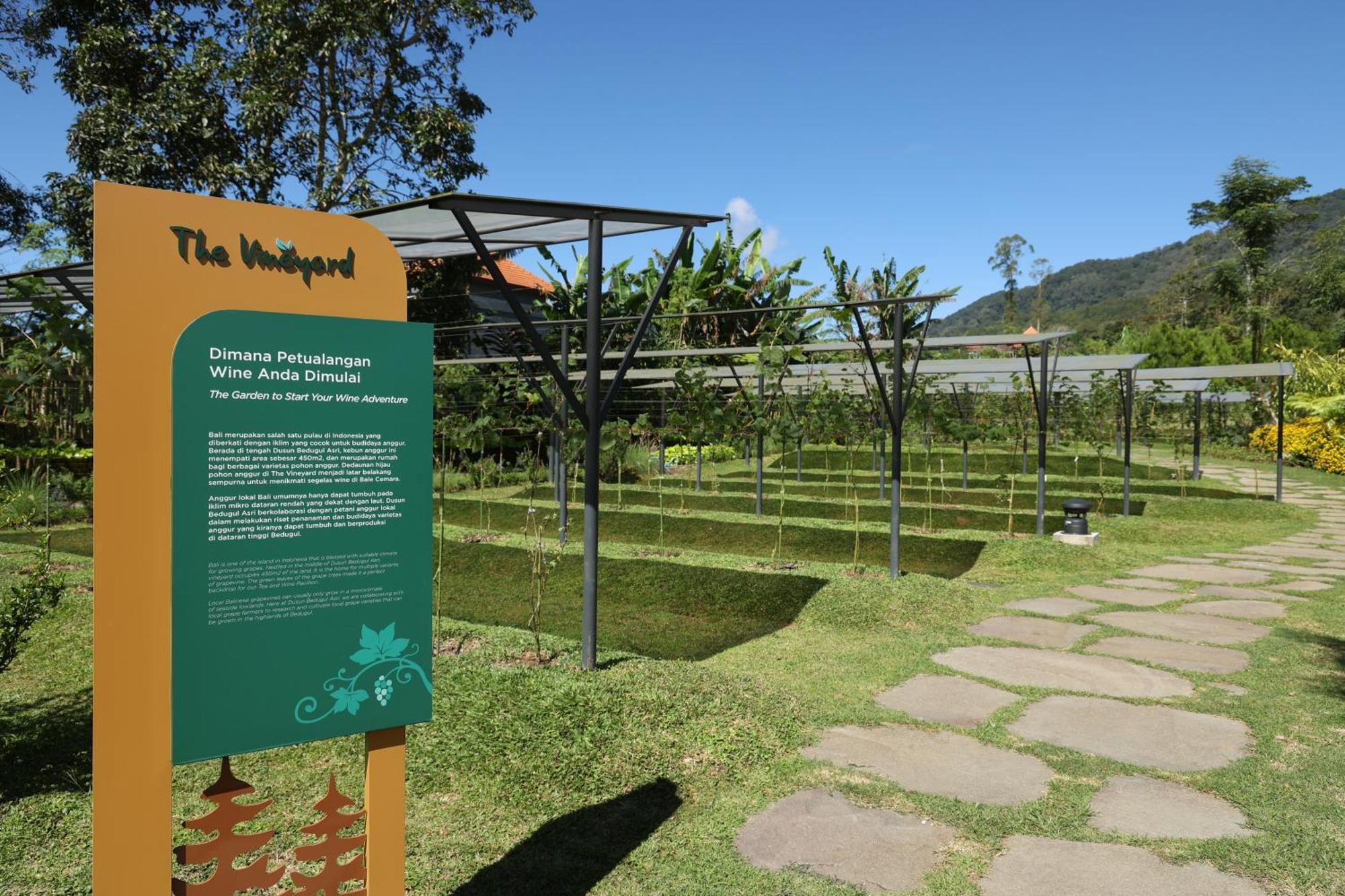 Dusun Bedugul Asri Hotel Buitenkant foto